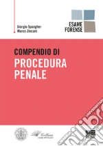 Spangher Giorgio; Zincani Marco