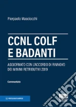 Masciocchi Pierpaolo
