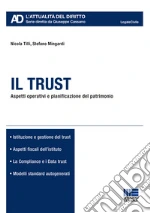 Tilli Nicola; Mingardi Stefano