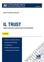 Tilli Nicola; Mingardi Stefano