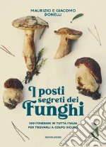 Donelli Giacomo; Donelli Maurizio