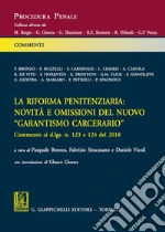 Bronzo P. (cur.); Siracusano F. (cur.); Vicoli D. (cur.)