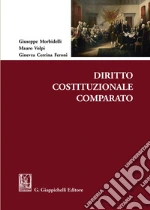 Morbidelli Giuseppe; Volpi Mauro; Cerrina Feroni Ginevra