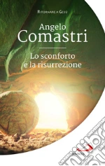 Comastri Angelo