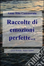 Cammerata Anna Rita