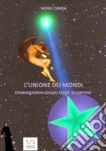 Zanda Momi