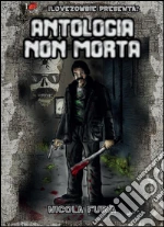 Furia Nicola