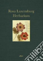 Luxemburg Rosa