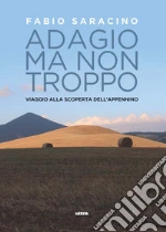 Saracino Fabio