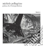 Pellegrino Michele