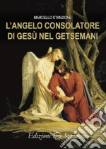 Stanzione Marcello