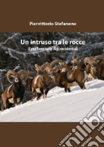 Stefanone Piervittorio