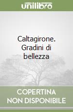 Iervolino Danilo; Di Carlo Calogero; Ruggieri Emilio