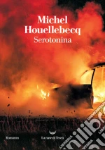 Houellebecq Michel