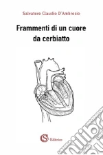 D'Ambrosio Salvatore Claudio