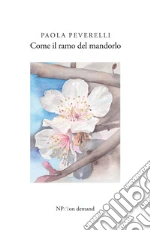 Peverelli Paola
