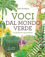 Bordiglioni Stefano