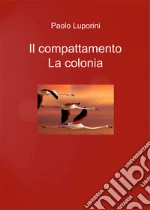 Luporini Paolo