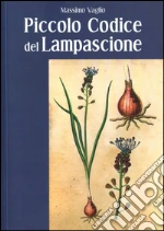 Vaglio Massimo; Arnaldo Gabriele