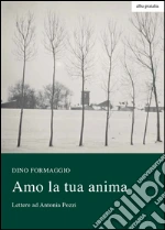 Formaggio Dino; Sandrini G. (cur.)