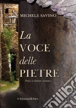Savino Michele; Papini S. (cur.)