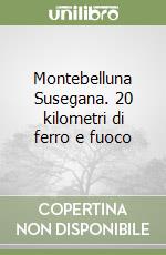 Baldanello Andrea; Mozzoni Andrea; Voltan Luigi