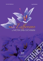 Mallamaci Carmelo; Modafferi Luigi; Calluso D. (cur.)