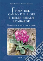 Parravicini Mario; Parravicini Umberto