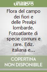 Parravicini Mario; Parravicini Umberto
