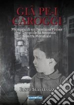 Sesselego Elvio; Sesselego C. (cur.)