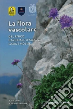 Conti Fabio; Bartolucci Fabrizio