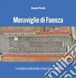 Piroddi Domizio