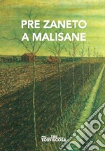 Pre Zaneto; Fogolini S. (cur.)
