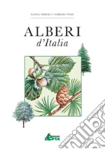 Ferioli Eliana