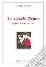 Rescifina Giuseppe
