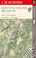 Castrofilippo Pierpaolo; Turini Giacomo