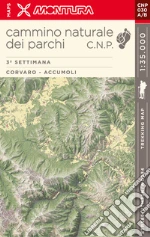 Castrofilippo Pierpaolo; Turini Giacomo