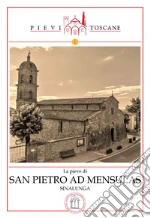 Nassi Federico