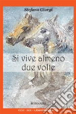 Giorgi Stefano