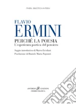Ermini Flavio