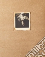 Cal Alessandra; Faganel M. (cur.); Occhipinti S. (cur.)