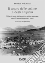 Antonelli Michele
