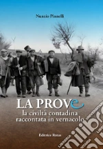 Pinnelli Nunzio