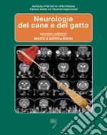 Bernardini Marco