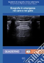 Faverzani Stefano; Lodi Matteo; Barella Gabriele