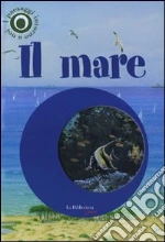 Cucchiarini Ferruccio