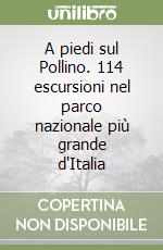 Pisarra Emanuele