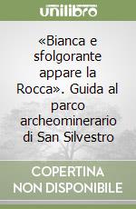Semplici Andrea; Guideri S. (cur.); Brocchini D. (cur.)