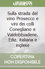 Vidor Mario; Ancilotto Stefano; Tomasin C. (cur.); Casagrande L. (cur.)