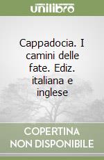 Vidor Mario; Cecere Guido; Tomasin C. (cur.)